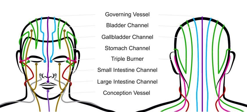 Acupuncture meridian Channels Acupuncture Meridian Channels